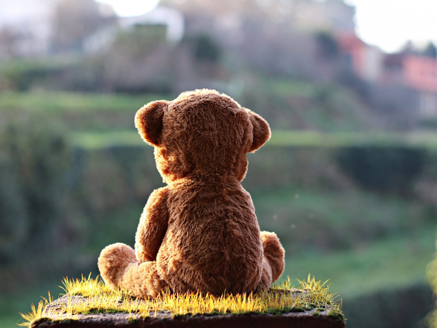 pexels-lorena-martínez-4585556