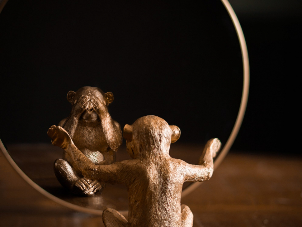 pexels-jorien-stel-4616088 copie 2